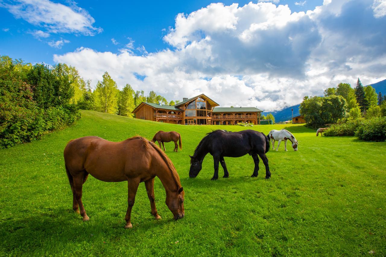 Bear Claw Lodge Kispiox 외부 사진